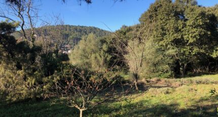 Carnoules Maison neuve - 2446143-4866annonce520260303ZNq7o.jpeg Maisons France Confort