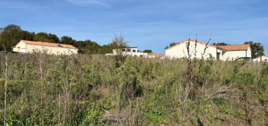 Terrain à bâtir à Villedieu-la-Blouère, Pays de la Loire