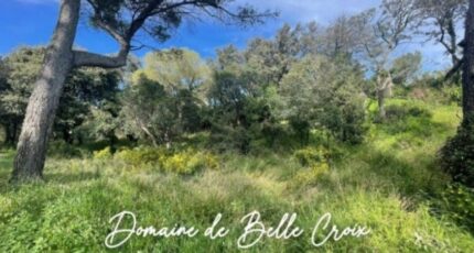 Villeneuve-lès-Avignon Maison neuve - 2446779-617annonce320250114dv6HH.jpeg Maisons France Confort