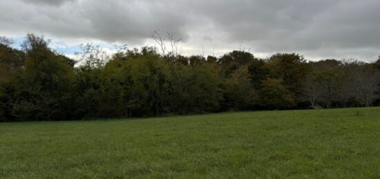 Terrain à bâtir à Saint-Exupéry, Nouvelle-Aquitaine