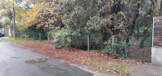Terrain à bâtir à , Gironde