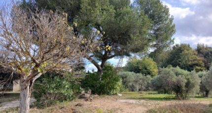 Ventabren Maison neuve - 2338630-11680annonce220251114gND66.jpeg Maisons France Confort