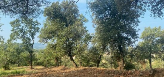 Terrain à bâtir à , Vaucluse