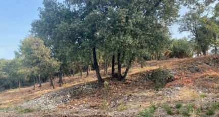 Mondragon Maison neuve - 2378847-812annonce220251230b8Lz8.jpeg Maisons France Confort