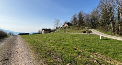 Massignieu-de-Rives Maison neuve - 2446837-10456annonce120260304FTL7H.jpeg Maisons France Confort