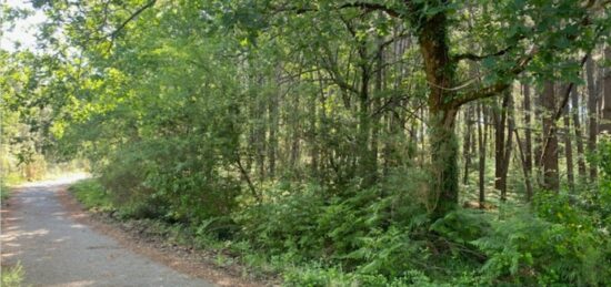 Maison neuve à Sanguinet, Nouvelle-Aquitaine
