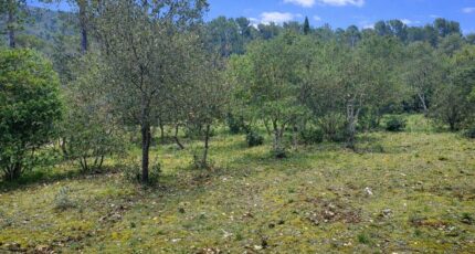 Garéoult Terrain à bâtir - 2447602-11137annonce120260304Rb0Kc.jpeg Maisons France Confort