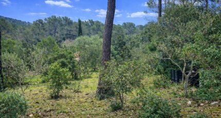 Garéoult Terrain à bâtir - 2447602-11137annonce420260304wQZPz.jpeg Maisons France Confort