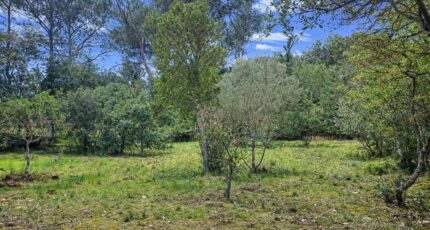 Garéoult Maison neuve - 2447644-11137annonce320260304WINHJ.jpeg Maisons France Confort