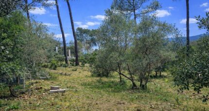 Garéoult Maison neuve - 2447663-11137annonce220260304nCwfB.jpeg Maisons France Confort