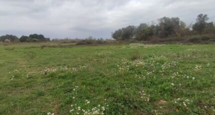 Salles-d'Aude Terrain à bâtir - 2447681-11782annonce120260304QVcLg.jpeg Maisons France Confort