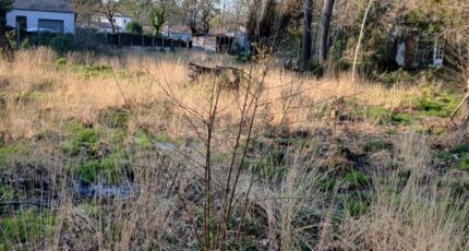 Soullans Terrain à bâtir - 2445722-11728annonce120260303bzw0w.jpeg Maisons France Confort