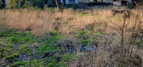 Terrain à bâtir à , Vendée