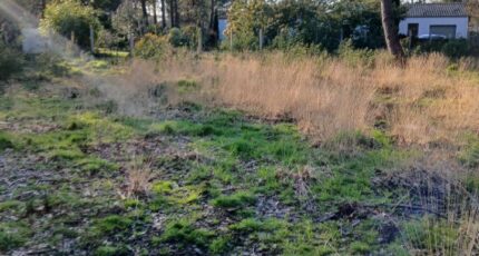 Soullans Terrain à bâtir - 2445722-11728annonce3202603037SZEN.jpeg Maisons France Confort