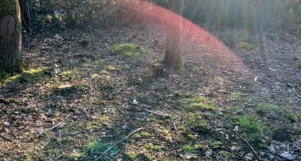 Soullans Terrain à bâtir - 2445722-11728annonce4202603034R5Qu.jpeg Maisons France Confort