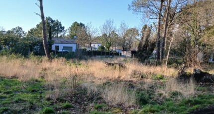 Soullans Terrain à bâtir - 2445722-11728annonce520260303oPCIi.jpeg Maisons France Confort