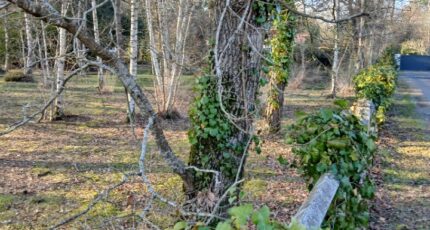 Soullans Terrain à bâtir - 2446824-11728annonce120260304arBtf.jpeg Maisons France Confort