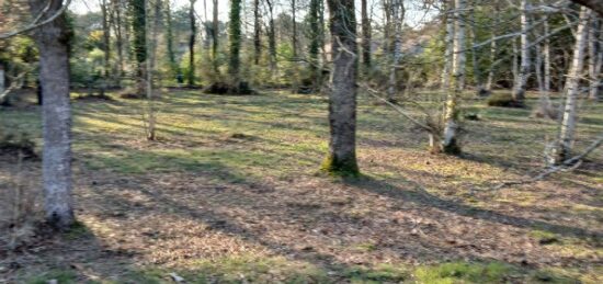 Terrain à bâtir à , Vendée