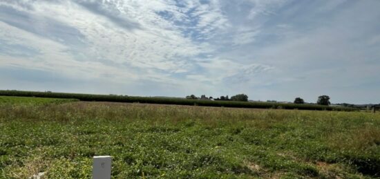 Terrain à bâtir à Staple, Hauts-de-France