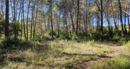 Bagnols-en-Forêt Maison neuve - 2381489-5163annonce220260223MJVFw.jpeg Maisons France Confort