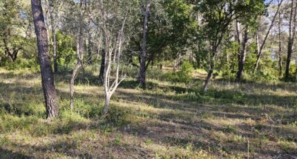 Bagnols-en-Forêt Maison neuve - 2381506-5163annonce4202602230mzcs.jpeg Maisons France Confort