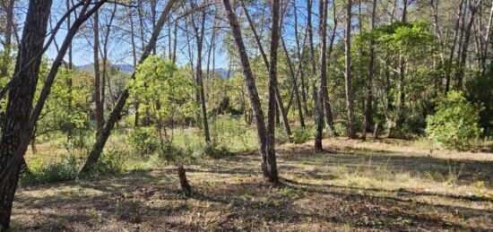Terrain à bâtir à Bagnols-en-Forêt, Provence-Alpes-Côte d'Azur