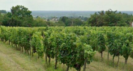 Villenave-de-Rions Maison neuve - 2448128-11795annonce120260305ZzkkH.jpeg Maisons France Confort