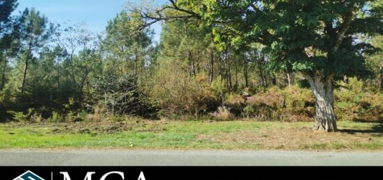 Terrain à bâtir à Sanguinet, Nouvelle-Aquitaine