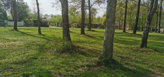 Terrain à bâtir à Roaillan, Nouvelle-Aquitaine