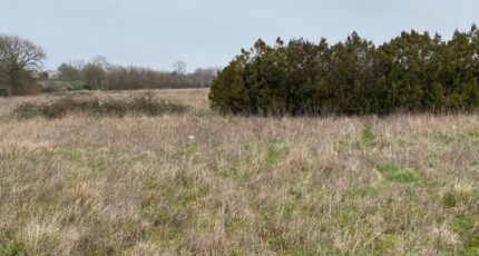 Pont-l'Abbé-d'Arnoult Maison neuve - 2446681-11194annonce120260304JzpCc.jpeg Maisons France Confort