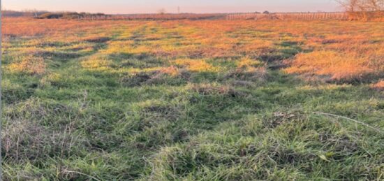 Terrain à bâtir à Cérons, Nouvelle-Aquitaine
