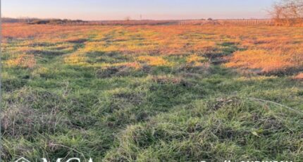 Cérons Maison neuve - 2443606-3601annonce120260227wThOp.jpeg Maisons France Confort