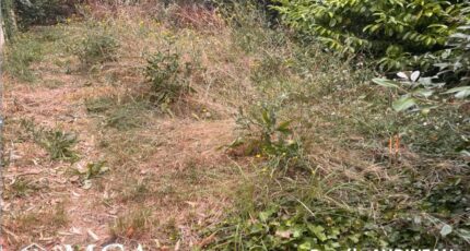 Loupiac Maison neuve - 2443812-3601annonce1202602278cgrf.jpeg Maisons France Confort