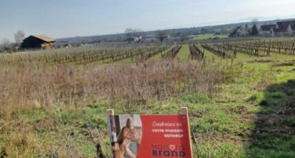 Beblenheim Maison neuve - 2447927-5767annonce620260305KfAVb.jpeg Maisons France Confort