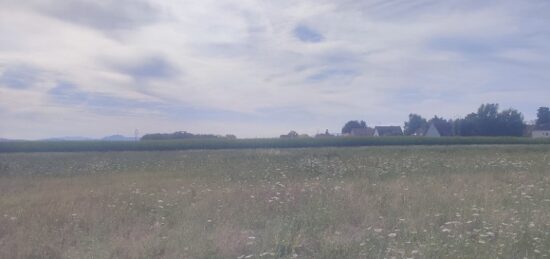 Terrain à bâtir à Muntzenheim, Grand Est