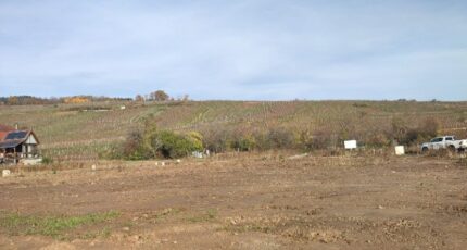 Riquewihr Terrain à bâtir - 2382386-5767annonce120260106k9Lv3.jpeg Maisons France Confort