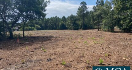 Pontenx-les-Forges Maison neuve - 2449158-5828annonce120250530wSHGd.jpeg Maisons France Confort