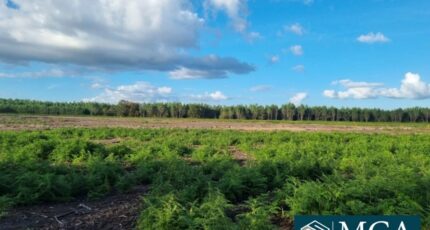 Laluque Maison neuve - 2449488-5828annonce120251003iO8QV.jpeg Maisons France Confort