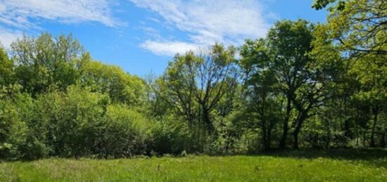 Terrain à bâtir à Noailles, Nouvelle-Aquitaine
