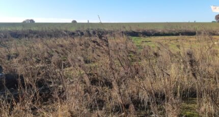 Gagnac-sur-Garonne Maison neuve - 2449110-5202annonce2202603066TkVv.jpeg Maisons France Confort