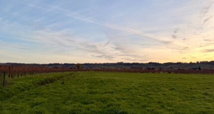 Saint-Laurent-des-Vignes Maison neuve - 2446328-11709annonce1202603036y5vV.jpeg Maisons France Confort