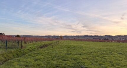 Saint-Laurent-des-Vignes Maison neuve - 2446328-11709annonce120260303432uA.jpeg Maisons France Confort