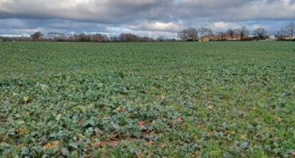 La Garnache Maison neuve - 2448949-11728annonce220260306TVCi4.jpeg Maisons France Confort