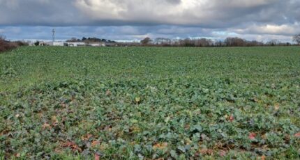 La Garnache Terrain à bâtir - 2448938-11728annonce3202603063cSmp.jpeg Maisons France Confort