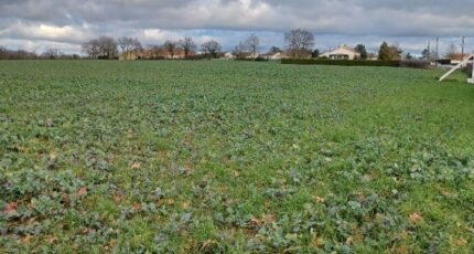 La Garnache Maison neuve - 2448957-11728annonce12026030652oHZ.jpeg Maisons France Confort