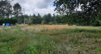 Gujan-Mestras Maison neuve - 2449725-11151annonce120260129Fg6rB.jpeg Maisons France Confort