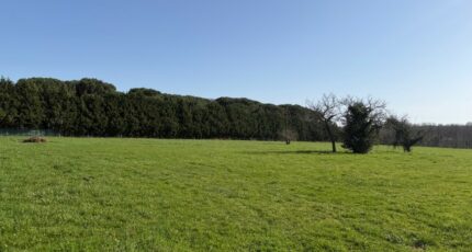 Langon Maison neuve - 2446899-10677annonce120260304gKHyN.jpeg Maisons France Confort