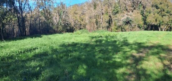 Terrain à bâtir à Martillac, Nouvelle-Aquitaine