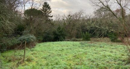 Saint-Selve Maison neuve - 2450047-11689annonce120251118JPFW6.jpeg Maisons France Confort