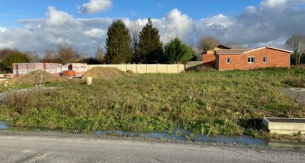 Le Taillan-Médoc Maison neuve - 2450139-11689annonce120251119PDtA6.jpeg Maisons France Confort